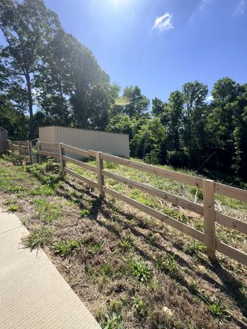 117 Rooster St, Indian Mound, TN 37079