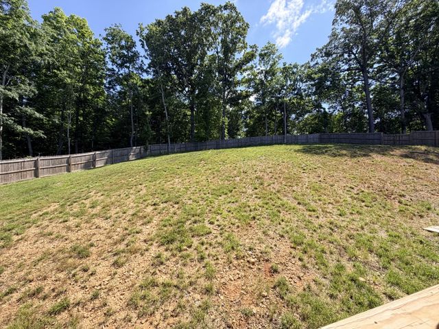 117 Rooster St, Indian Mound, TN 37079