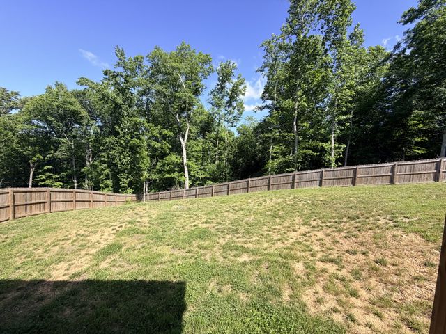 117 Rooster St, Indian Mound, TN 37079