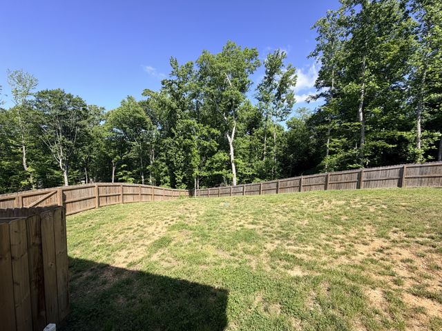 117 Rooster St, Indian Mound, TN 37079