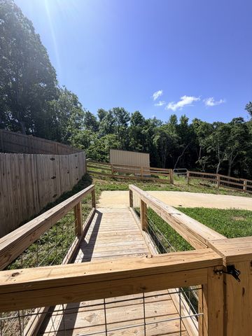 117 Rooster St, Indian Mound, TN 37079