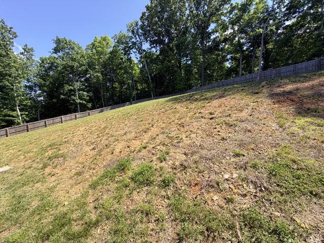 117 Rooster St, Indian Mound, TN 37079
