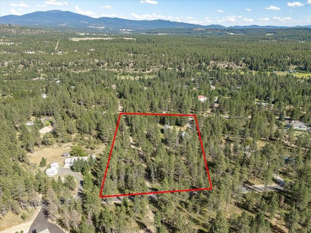 28413 N Selkirk View Dr, Chattaroy, WA 99003