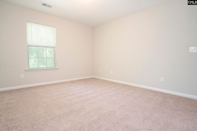 118 Pacific Avenue, Chapin, SC 29036