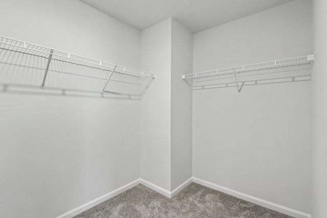 146 Morning View Way, Moncks Corner, SC 29461