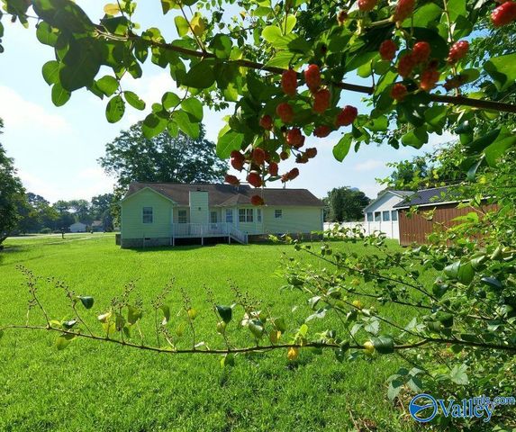 1215 Heatherwood Drive, Arab, AL 35016