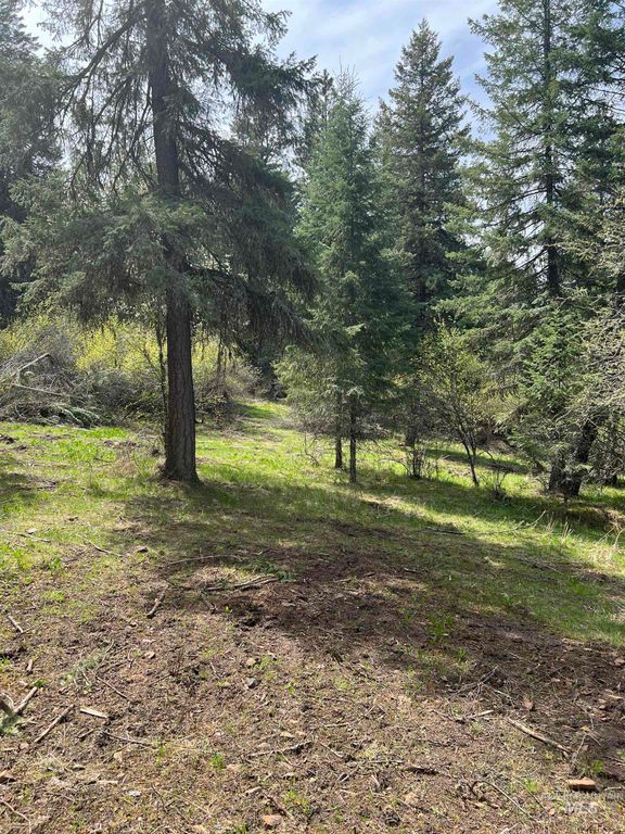 Parcel B Elk City Wagon Road, Stites, ID 83539