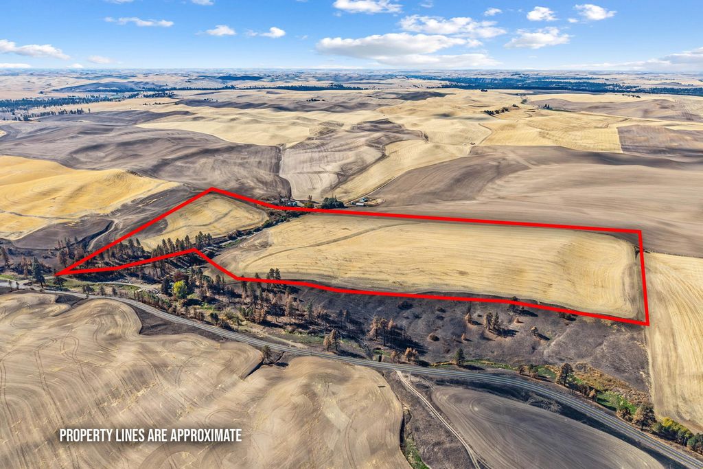 TBD John Fyke Rd, Malden, WA 99149 photo 2