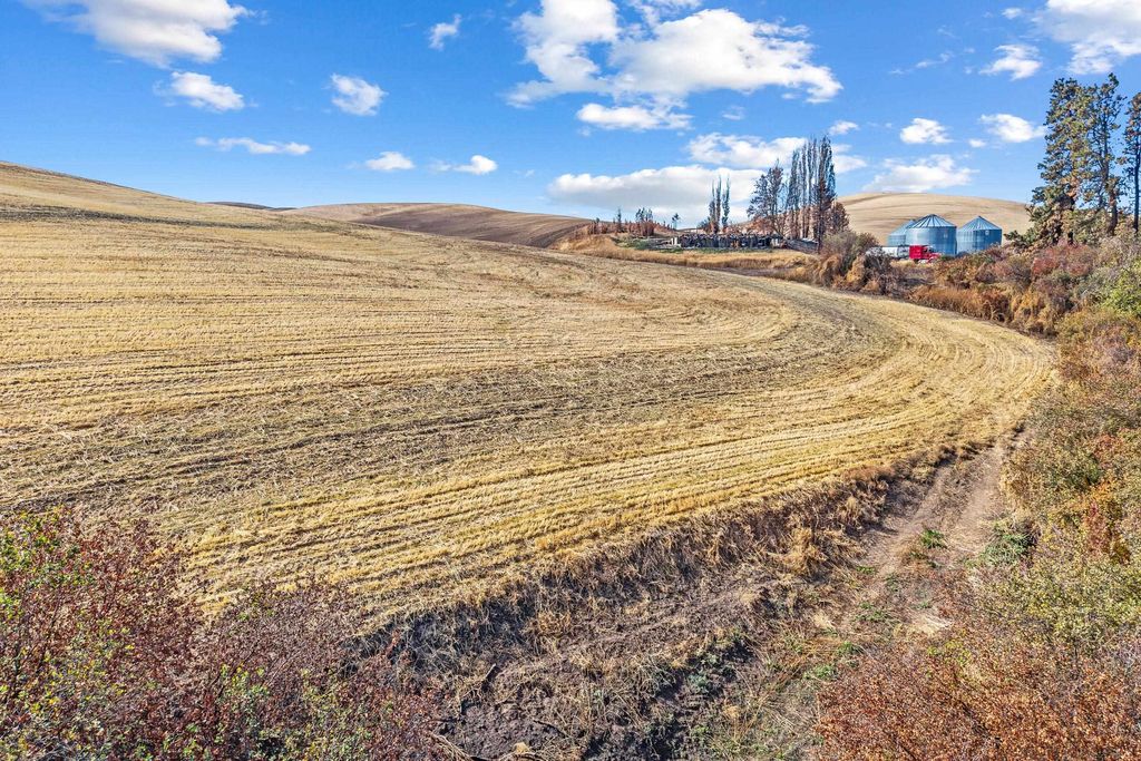 TBD John Fyke Rd, Malden, WA 99149 photo 5