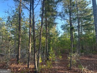 4.78 ACRES Horne Road, Roberta, GA 31078