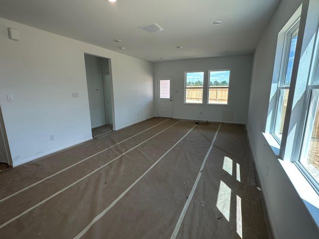 18054 Lasso Mills Drive, Hockley, TX 77447