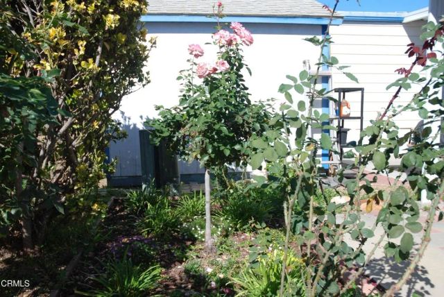 4388 E Central 63, Camarillo, CA 93010