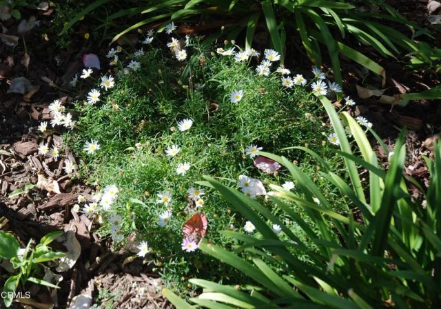 4388 E Central 63, Camarillo, CA 93010