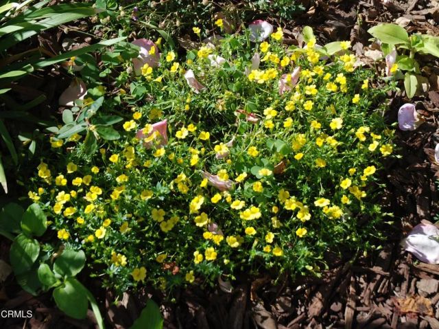 4388 E Central 63, Camarillo, CA 93010