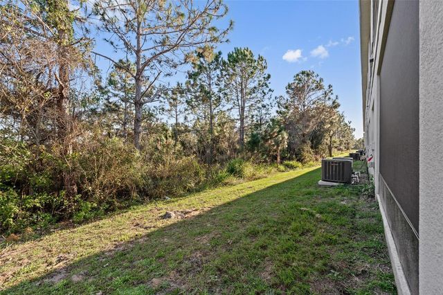 156 GLASS ONION DRIVE, Howey In The Hills, FL 34737