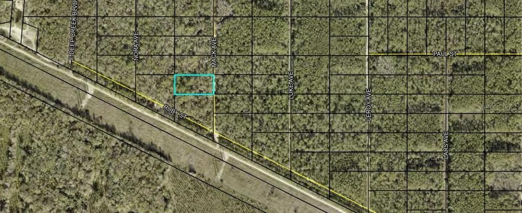 XX MACK AVENUE, Hastings, FL 32145