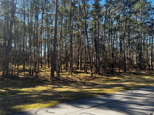 26 Altwood Drive, Coldspring, TX 77331