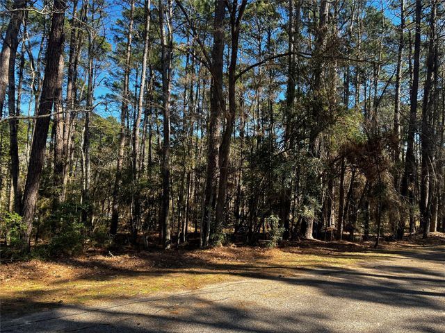 26 Altwood Drive, Coldspring, TX 77331