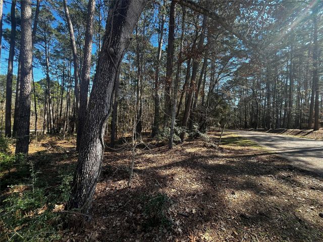 26 Altwood Drive, Coldspring, TX 77331