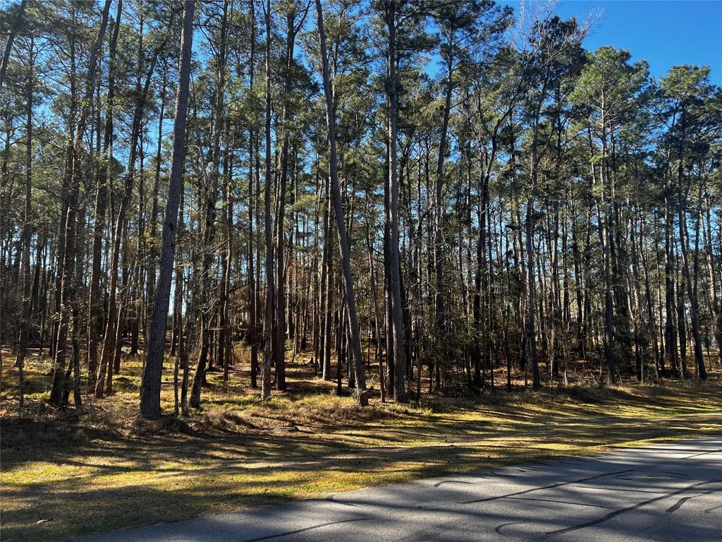 26 Altwood Drive, Coldspring, TX 77331