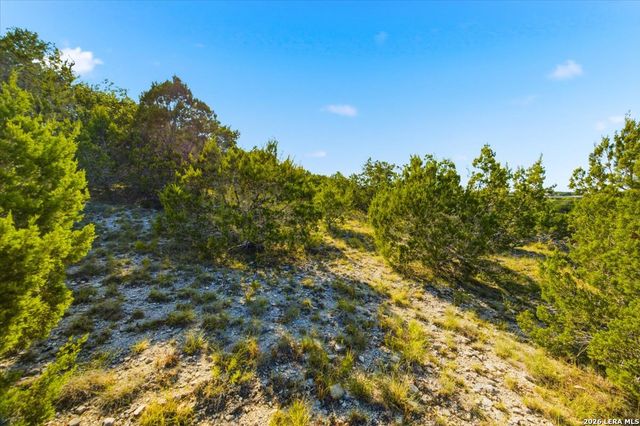 514 Canyon Rock Dr, Spring Branch, TX 78070