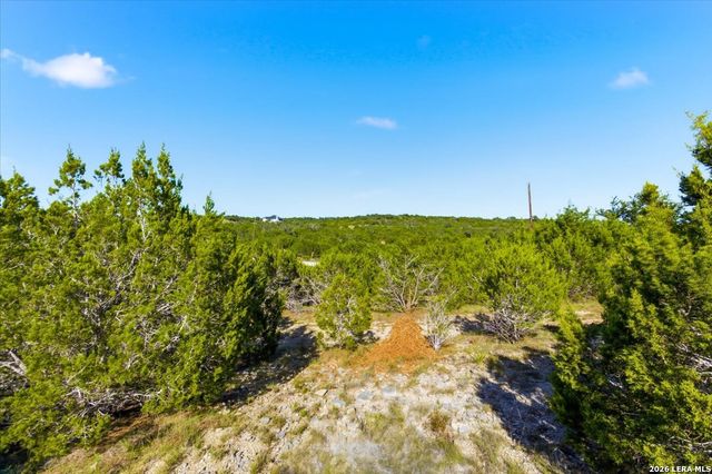 514 Canyon Rock Dr, Spring Branch, TX 78070