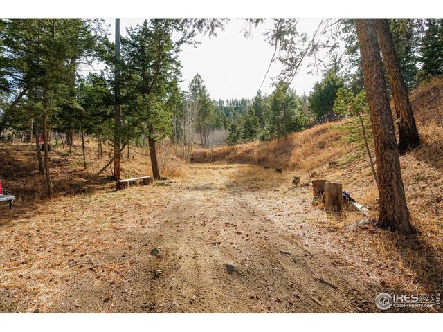 156 Mountain Meadow Ln, Bellvue, CO 80512