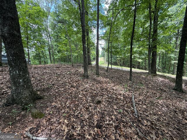 LOT 1065 Mayfield Lane, Ranger, GA 30734