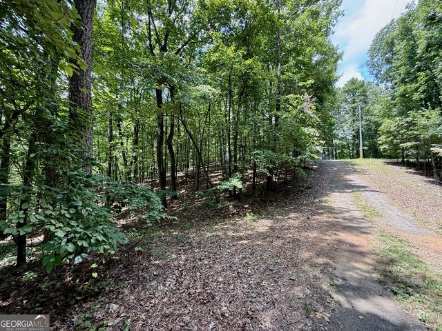 LOT 1065 Mayfield Lane, Ranger, GA 30734