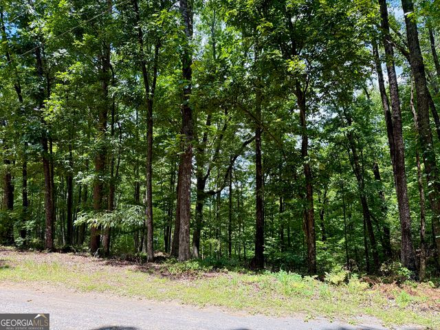 LOT 1065 Mayfield Lane, Ranger, GA 30734