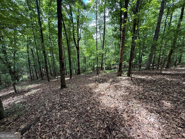 LOT 1065 Mayfield Lane, Ranger, GA 30734