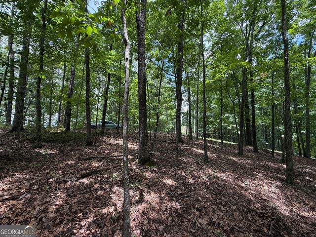 LOT 1065 Mayfield Lane, Ranger, GA 30734