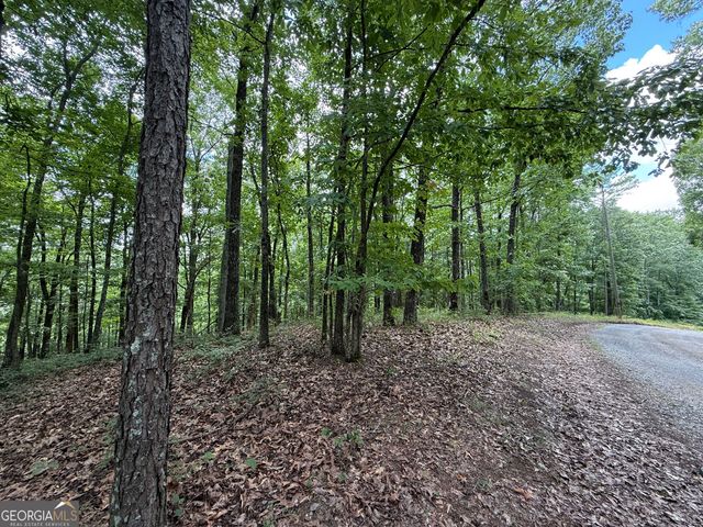 LOT 1065 Mayfield Lane, Ranger, GA 30734