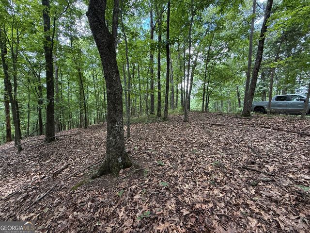LOT 1065 Mayfield Lane, Ranger, GA 30734