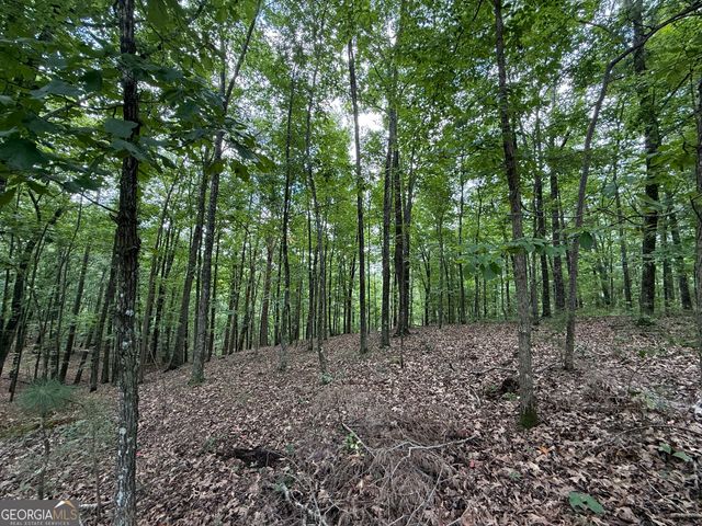 LOT 1065 Mayfield Lane, Ranger, GA 30734