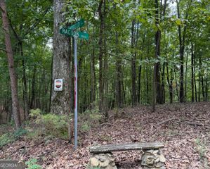 LOT 1065 Mayfield Lane, Ranger, GA 30734