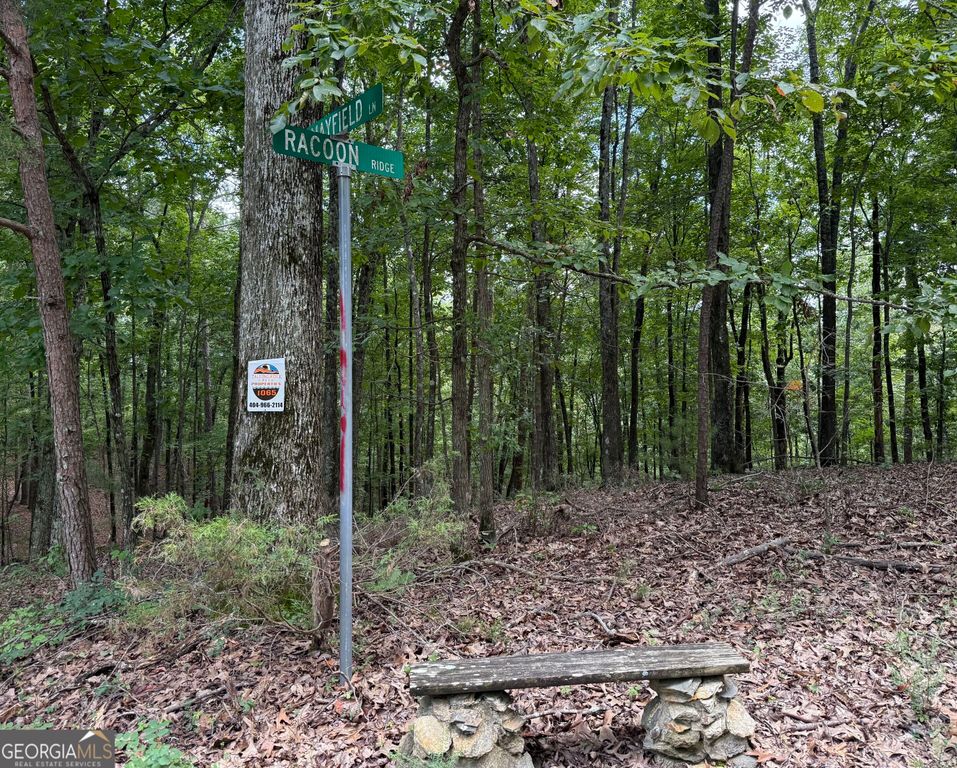 LOT 1065 Mayfield Lane, Ranger, GA 30734