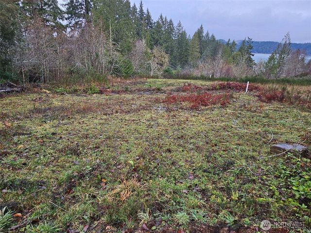 211 E Linda Vista Court, Union, WA 98592