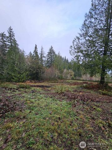 211 E Linda Vista Court, Union, WA 98592