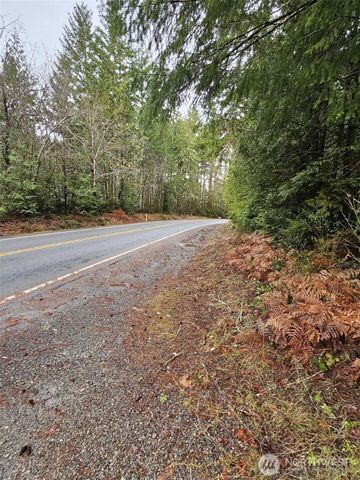 211 E Linda Vista Court, Union, WA 98592