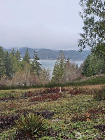 211 E Linda Vista Court, Union, WA 98592