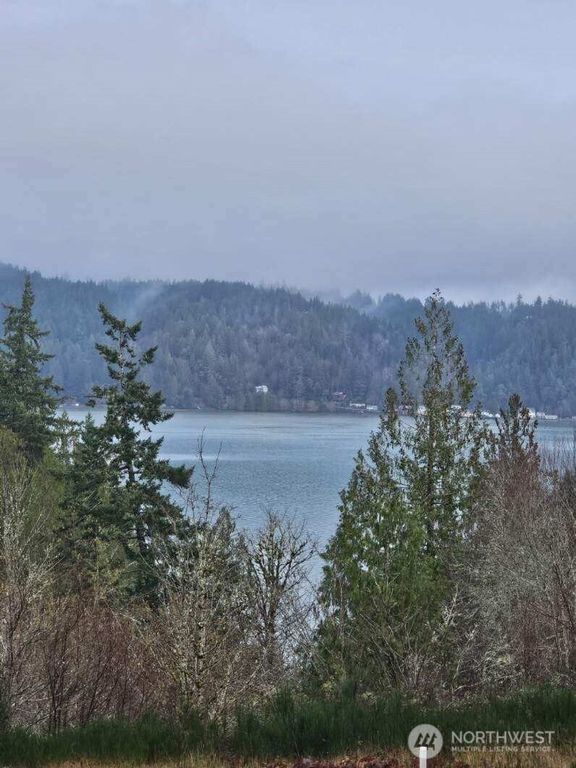 211 E Linda Vista Court, Union, WA 98592