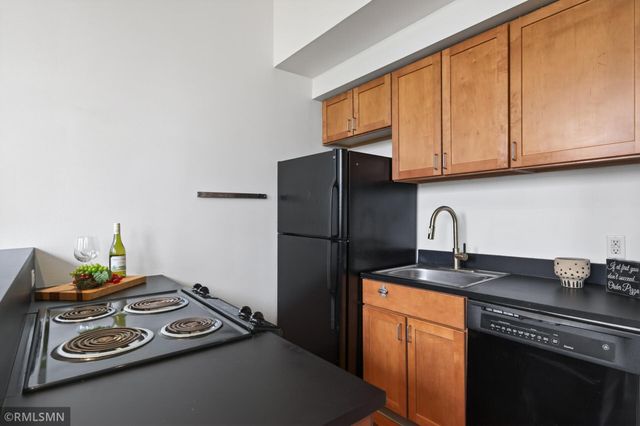 488 Wabasha Street N 506, Saint Paul, MN 55102