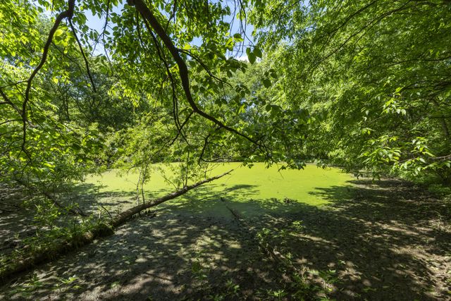 5078 Ezbon Holland Rd, Springfield, TN 37172