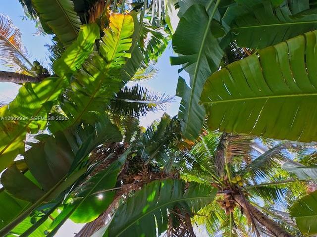 1435 Grant St, Hollywood, FL 33020