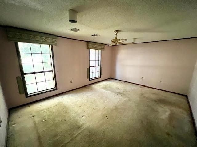 203 Cedar Tree Drive, Thibodaux, LA 70301