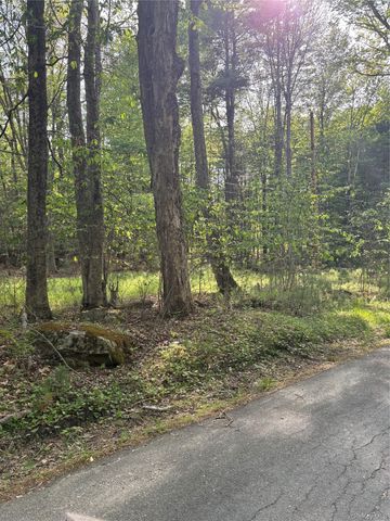 Lucks Road, Greenfield Park, NY 12435