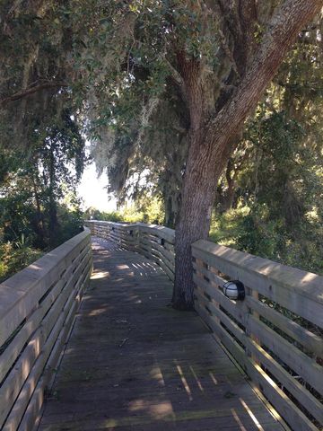 Lot 142 Millbank Rd., Georgetown, SC 29440