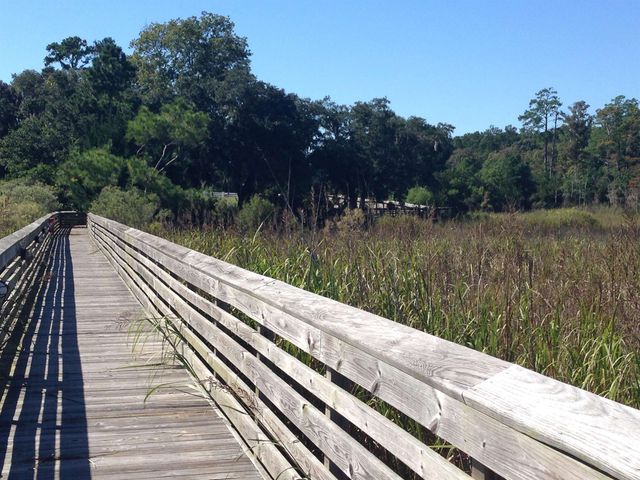 Lot 142 Millbank Rd., Georgetown, SC 29440