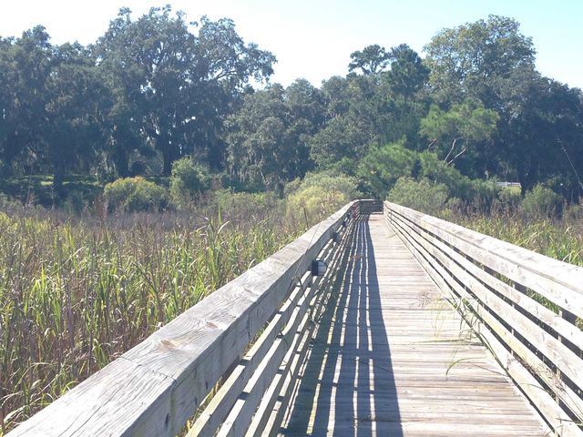 Lot 142 Millbank Rd., Georgetown, SC 29440